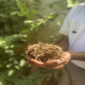 Coco fiber