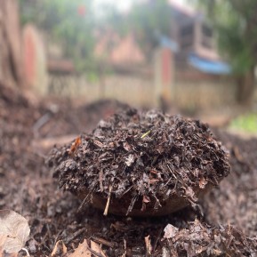 Premium wood mulch