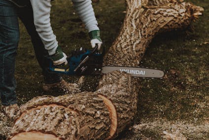 Tree pruning service