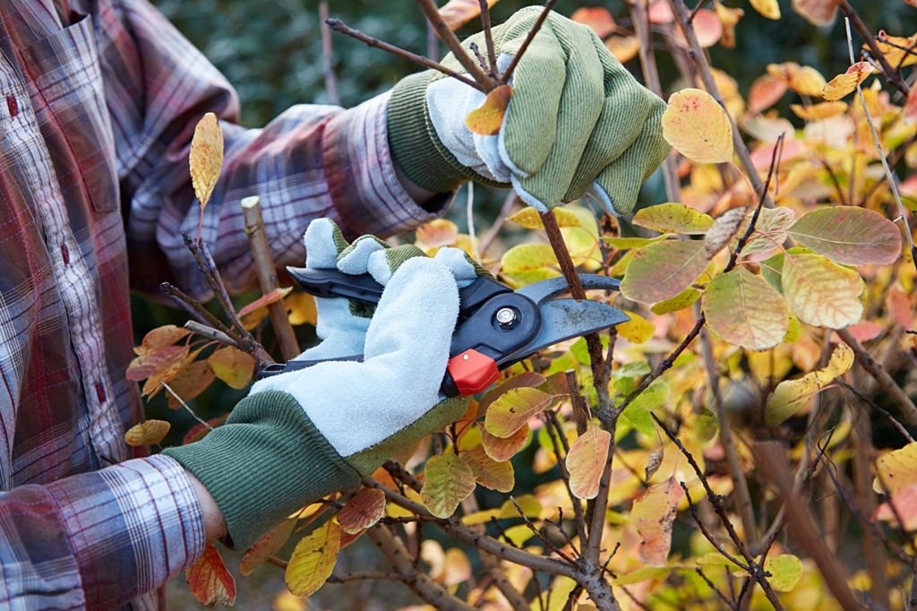 Cleaner landscapes