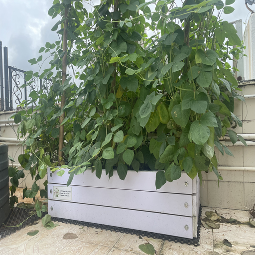 Raised bed planter